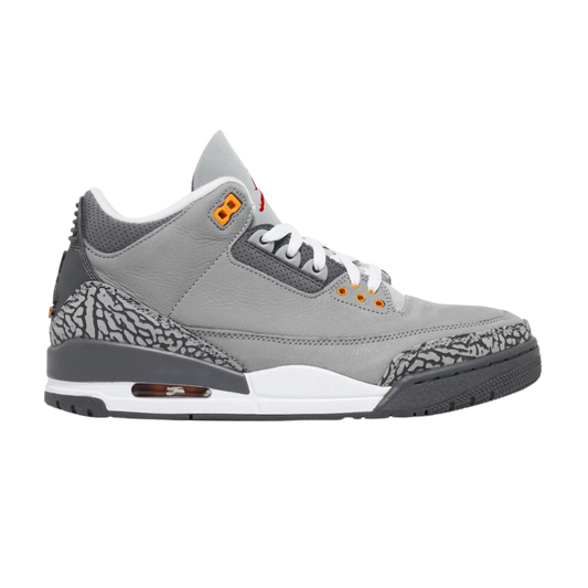 Jordan 3 Retro Cool Grey (2021)